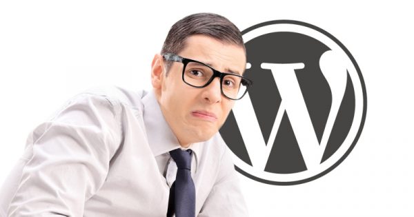 Отчет об уязвимостях WordPress за 2024 год показывает, какие ошибки продолжают совершать сайты