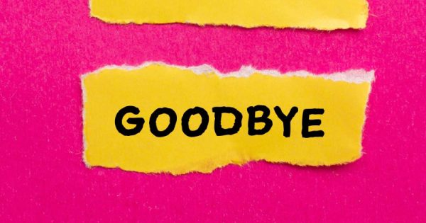 Обзор 2025 года: основные моменты и усиление; Недостатки SEO (и WordPress)