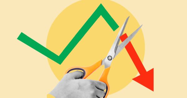 Разрыв в поисковом капитале: количественная оценка потерянной доли рынка органической продукции